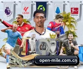 open-mile.com.cn APP 界面 | m6